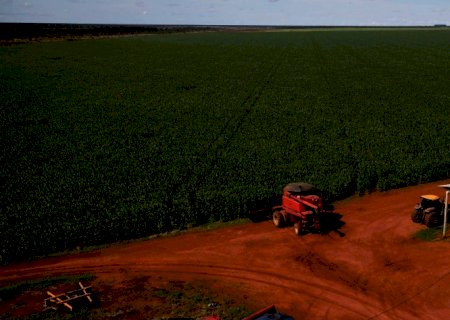 Milho: China deve importar menos dos EUA e Brasil eleva embarques externos