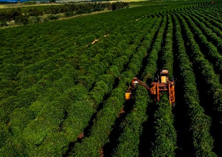 Conab eleva previsão de safra de café do Brasil a 47,7 mi sacas em 2021