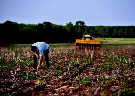 Instituto estima que plantio de soja convencional ocupará 3% da área total na safra 22/23