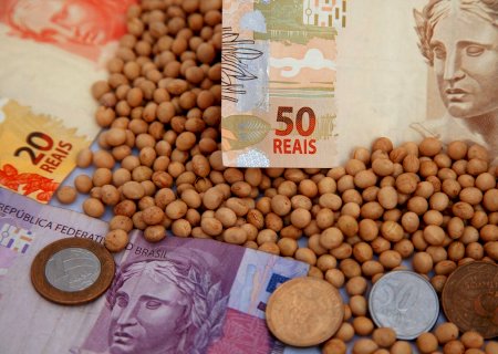 Preços da soja ficam estáveis; produtores aguardam alta de Chicago