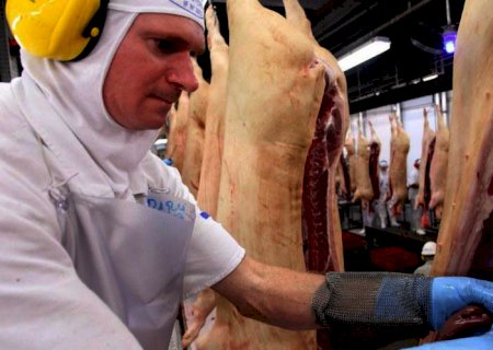 Exportação de carne suína deve recuar 3,5% em 2022, prevê Safras
