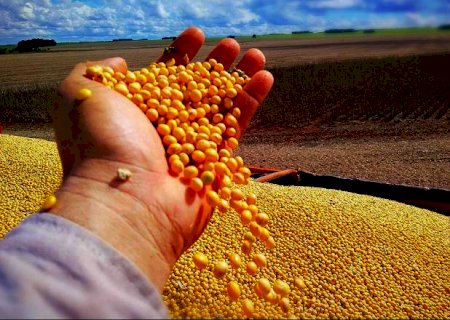 Produção de grãos será 27% maior em 2022