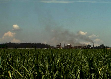 Centro-Sul deve processar 565,3 mi de t em 2022/23, + 6,5% ante 21/22