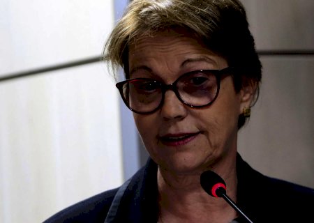 Ministra: pecuária tem papel fundamental na agenda climática mundial