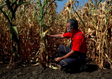 Agricultores receberam R$ 3,6 bilhões em indenizações de seguro rural entre janeiro e outubro de 2021