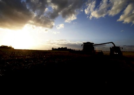 Valor da produção agropecuária de 2021 está estimado em R$ 1,113 trilhão