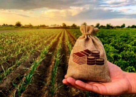 Setor agropecuário aumenta participação no PIB brasileiro