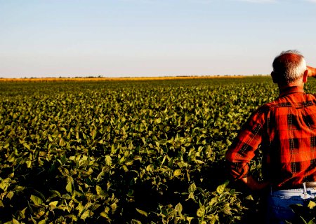 Produtor rural poderá regularizar cadastro ambiental pela internet