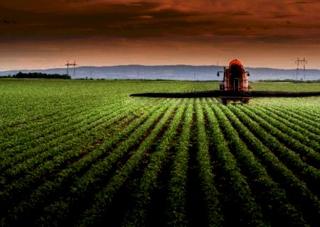 3ª estimativa para safra 2021/22 indica recorde de 291,07 mi de t