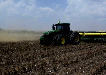 Soja: Plantio convencional ocupará 3% da área total em 2022/23