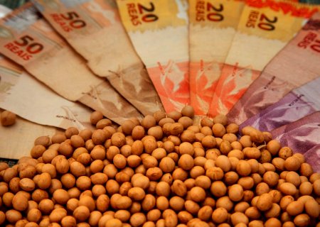 Soja: apenas duas praças teve variação de preços na semana