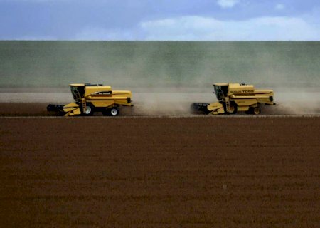 Soja: USDA reduz produção no Brasil em 2021/22 para 136 milhões de t