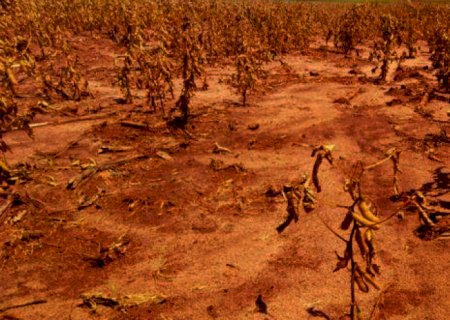 Quebra de safra com chuva e seca vai prolongar inflação dos alimentos
