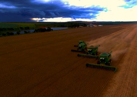 Soja: colheita brasileira atinge 11,3%; veja situação de cada estado