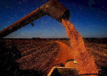 Apesar do risco climático, expectativa é de aumento de produtividade do milho