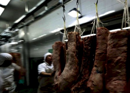 US$ 9,236 bilhões: Exportação de carne bovina em 2021 cresce 9% ante 2020
