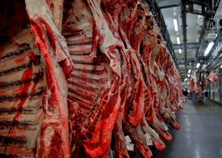Brasil abre novos mercados para carne bovina, lácteos e material genético