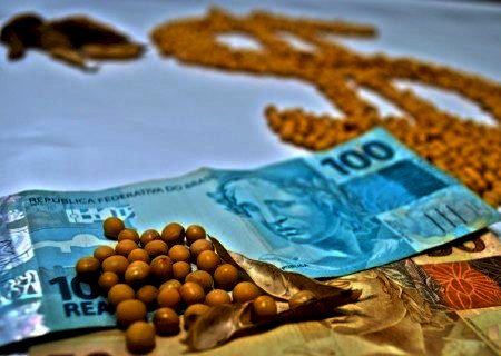 Soja: desvalorização de Chicago faz preços do mercado físico brasileiro caírem