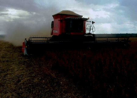 Colheita da safra brasileira 2021/22 de soja atinge 1,7%