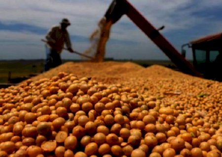 Indústria esmagadora de soja poderá ser reativada