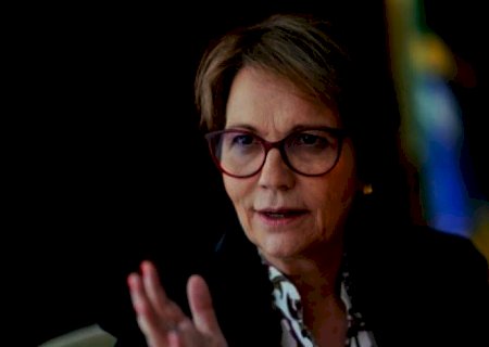 Safra de grãos 2021/2022 tem expectativa recorde, diz ministra