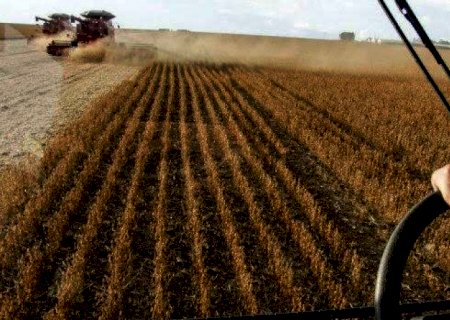 Após a bonança, conta de parte dos produtores não vai fechar neste ano