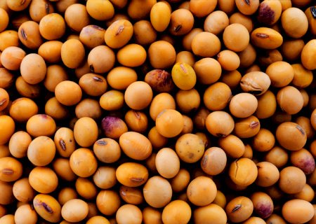 Soja: produtores aguardam alta nos preços para negociar