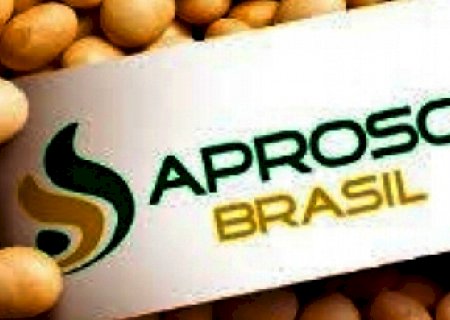 Aprosoja Brasil diz que falta de dessecante traz prejuízo à safra de soja