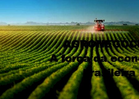Brasil: 15 recordes que fazem dos produtores rurais os âncoras da economia
