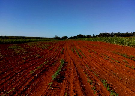 Seca causa prejuízo de R$ 45 bi para o agro em quatro estados