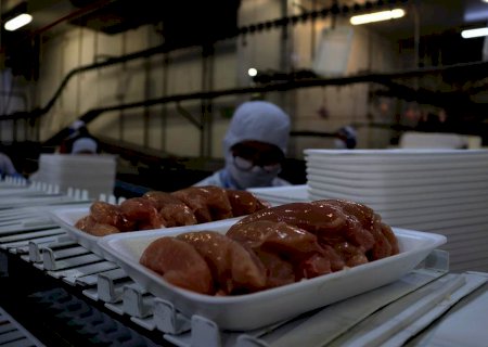 Exportação de carne de frango do Brasil bate recorde em 2021
