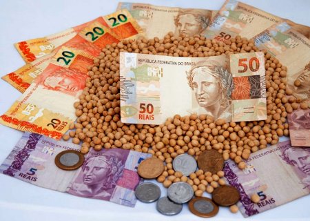 O que esperar do mercado de soja em 2022?