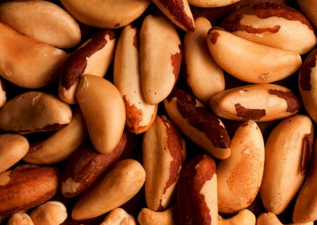 Preços mínimos de produtos da safra de 2022 são atualizados