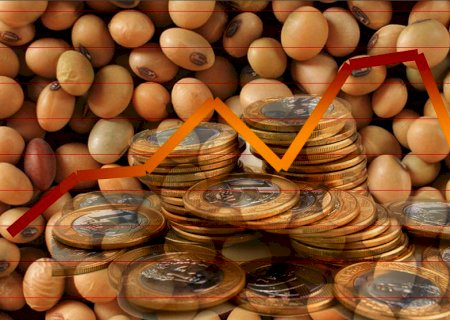 Soja: preços ficam estáveis no país; dólar e Chicago afastaram negociadores