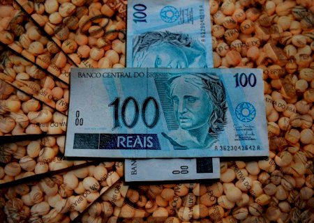 Preços da soja recuam após dias de alta; confira as cotações do dia