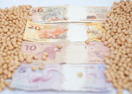Saca de soja sobe R$ 8 em Dourados (MS) e fica acima de R$ 200 em outras duas praças