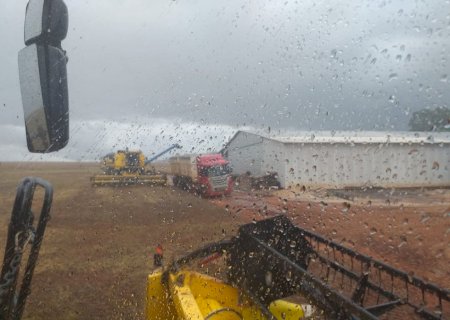 Produtores enfrentam dificuldades na colheita por conta da chuva em MT