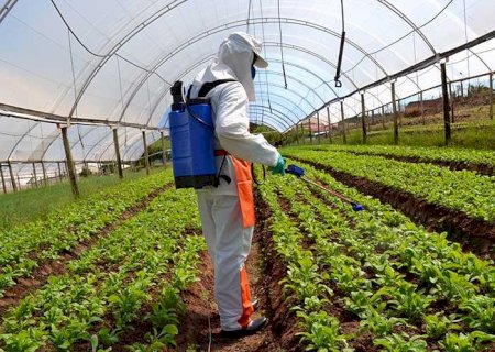 Câmara deve votar nesta 4ª urgência para projeto de lei sobre defensivos agrícolas