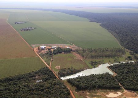 Brasil possui mais de 6 milhões de imóveis rurais