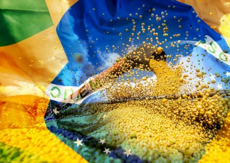Agronegócio brasileiro surpreende e começa 2022 com superávit de US$ 7,7 bilhões