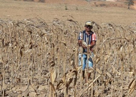 Com seca, produtores do Sul não cobrem custos de produção