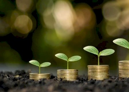 Fundos de investimentos escolhem o agro para plantar dinheiro