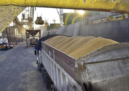 Colheita de soja deste ano leva a recorde nos preços de frete