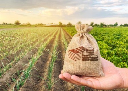 Governo suspende contratações de crédito rural subsidiado