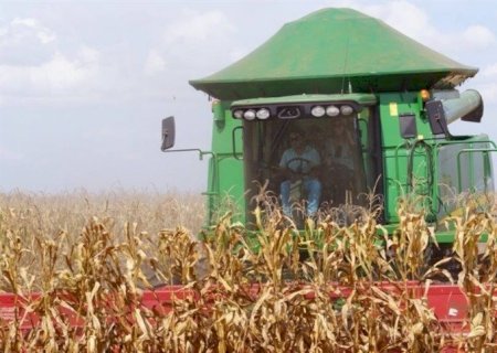 Brasil se aproxima dos 100% de milho vendido