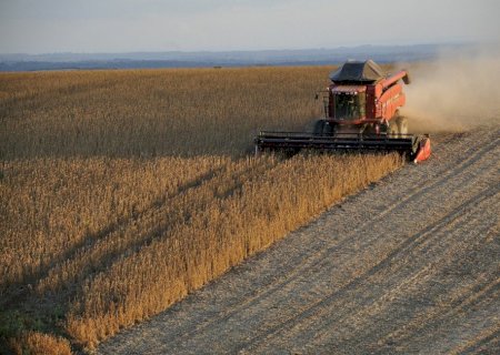 Colheita da soja no Brasil atinge 44% da área, aponta consultoria