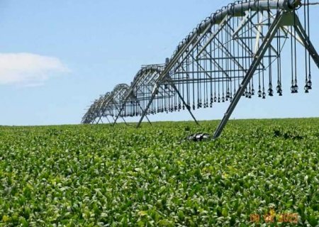 Valor bruto da produção do campo de MS cresce 17,8% em quatro anos