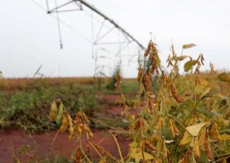 Mudança no prazo para registro de agrotóxicos é aprovada na Câmara dos Deputados