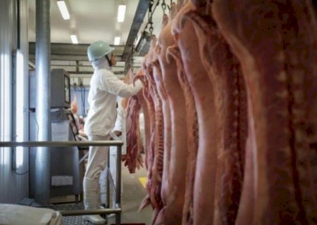 Exportação de carne suína preocupa pela redução de preço da tonelada e perda volumes