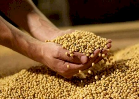 Exportações de soja cresceram 57.395% em janeiro deste ano em MS